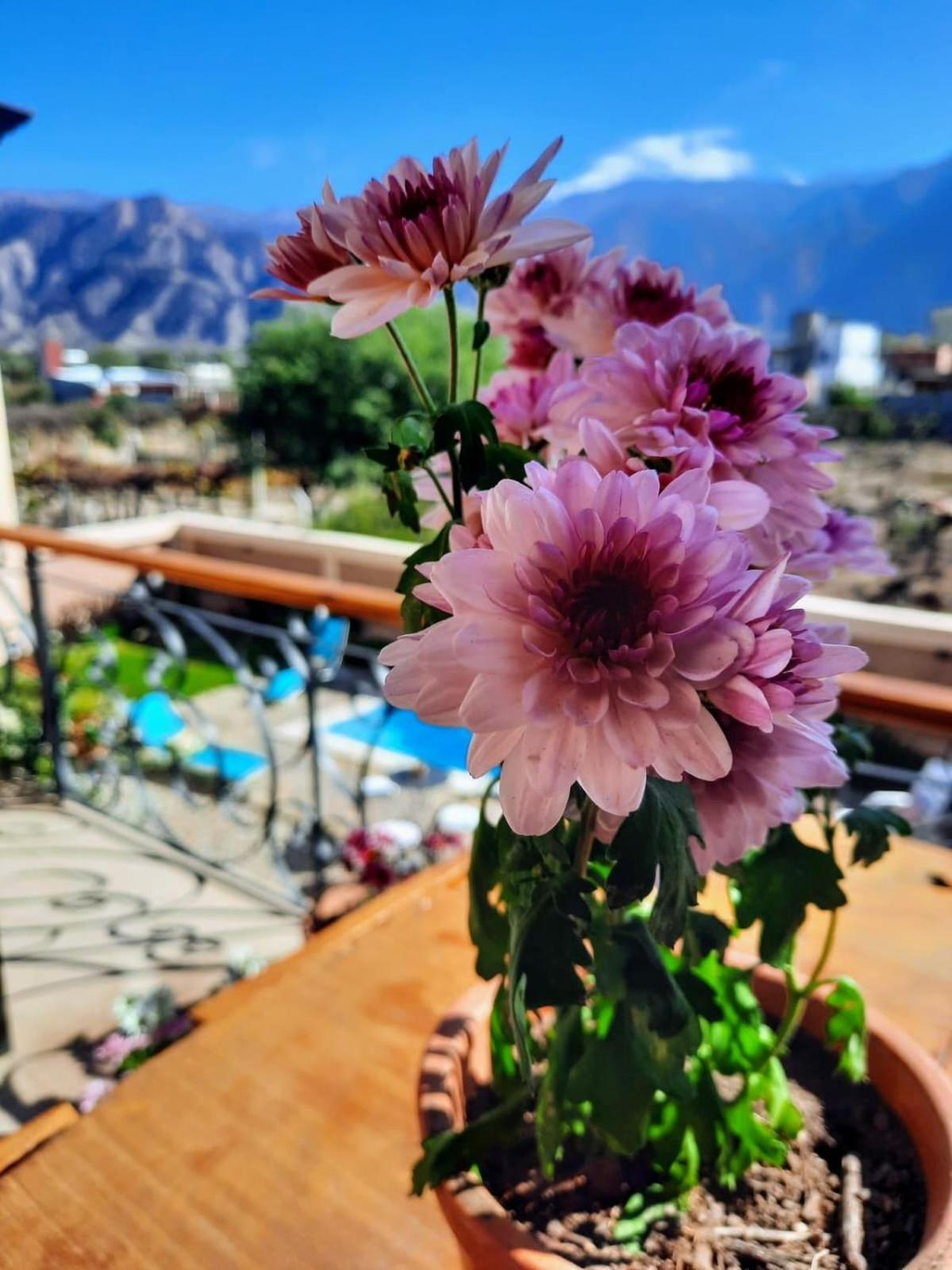Luna De Cafayate Hotel Boutique Εξωτερικό φωτογραφία